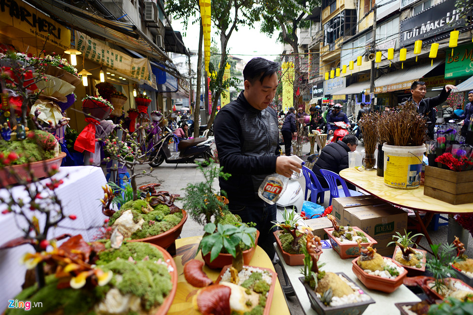 Nấm linh chi biến thành cây cảnh trưng bày dịp Tết